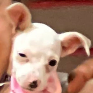 Meet your Posher, Nancy